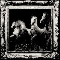 sethhh - 4horses