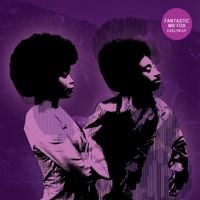 Fantastic Mr Fox - Evelyn EP