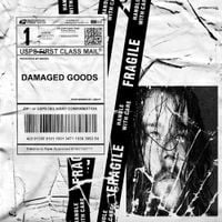 Joeyy - Damaged Goods