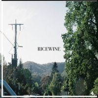 RICEWINE - Flood