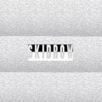James Ferraro - Pollution