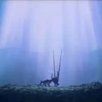 lixelated - Death & Rebirth