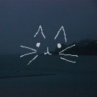d2s1 - meowsic