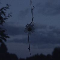 d2s1 - iwannadie