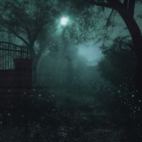 d2s1 - please help me