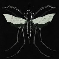Wax Head - GNAT