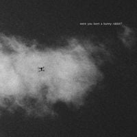 Aria Rostami - Were You Born A Bunny Rabbit?