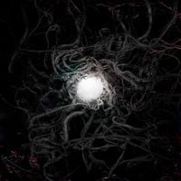 Luke Black - PARASITE