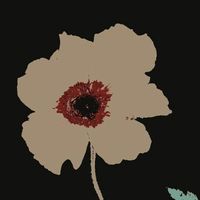 otuka - 2 minutes of everything & anything