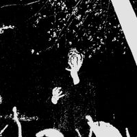 Torpefied Bloodlust - Promo 2020