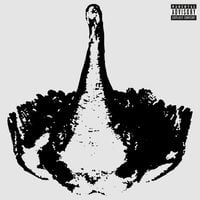 ABHIR - ULTRASWAN