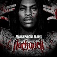 Waka Flocka Flame - Grove St. Party