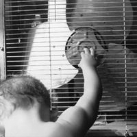 RFP - So Long, Nuclear Family