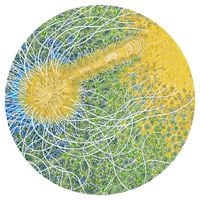 Max Cooper - Feeling Is Structure