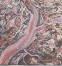 Yellow Swans - Psychedelic Used Car Lot Blues