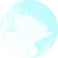 ｢D J A 7V G O｣ - Tachycardia