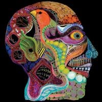 Osees - Cara Maluco
