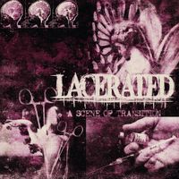 Lacerated - A Scene of Transition