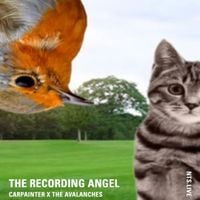 The Avalanches - The Recording Angel On NTS: Episode 17 - The Avalanches & Carpainter