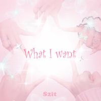 S2iT - What I Want