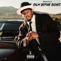 DoggyStyleeee - Calm Before Riches