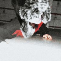 Jiinzo - CRAWL