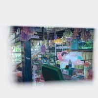 Shuta Hasunuma - A New Dawn