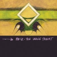 No-Neck Blues Band - The Large Taquat