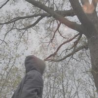 Sedtrash - 21 and it shows