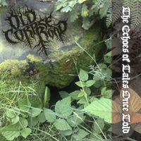 Old Corpse Road - The Echoes of Tales Once Told