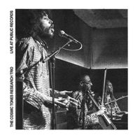 The Cosmic Tones Research Trio - Live At Public Records