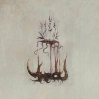Apostle - A Splinter In The Infinite Noumenon