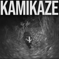 Agoraphobia - Kamikaze