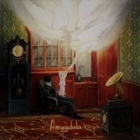 Nekophiliac - Amygdala