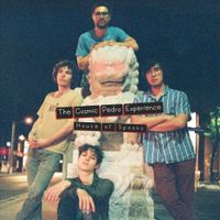 The Cosmic Pedro Experience - House of Spoons