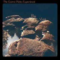 The Cosmic Pedro Experience - Be You
