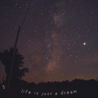 The Cosmic Pedro Experience - Life Is Just a Dream