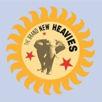 The Brand New Heavies - The Brand New Heavies
