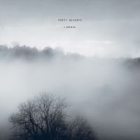 Poppy Ackroyd - Liminal
