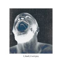JPEGMAFIA - I Smell Crack
