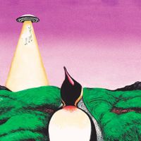 South Penguin - Y