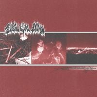 Talk &lsquo;em Down - Cold Island Hardcore