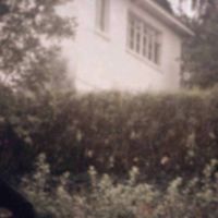 Killedmyself - Backyard Cemetery II