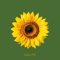 Gavy NJ - The Gavy NJ : II