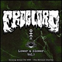 Froglord - Lower & Slower, Vol. 1