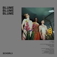 Schorl3 - Blume