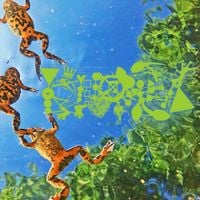 Phyllomedusa - Only To Some Is It A Beautiful Day