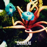 BORAN (보란) - Delulu