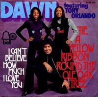 Tony Orlando & Dawn - Tie a Yellow Ribbon Round the Ole Oak Tree