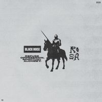 R.O.S.A. - Black Noise